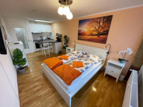Ferienwohnung in Freudenstadt-Kniebis III